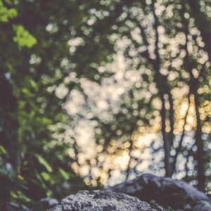 Weston Pulse Smartphone Variant 4