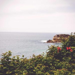 Weston Ambient Light Bar Variant 59