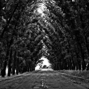 Velocore Desk Lamp Variant 63