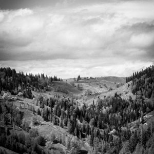 Aurelia Recovery Massage Gun Variant 64