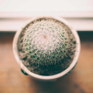 Northpeak Training Tracker Variant 65