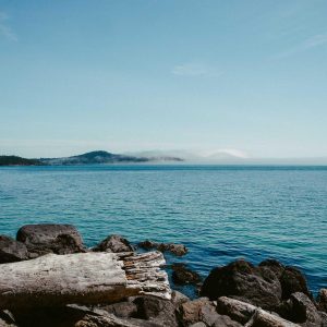 Weston Pulse Smartphone Variant 69