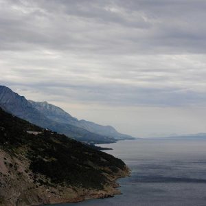 Aurelia One Smartphone Variant 8