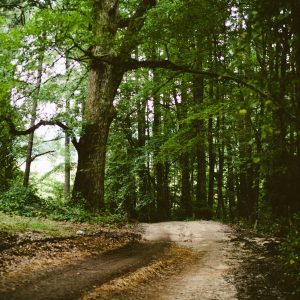 Weston Ambient Light Bar Variant 76