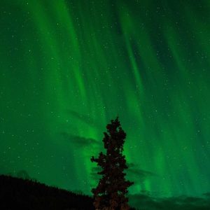 Weston Ambient Light Bar Variant 81