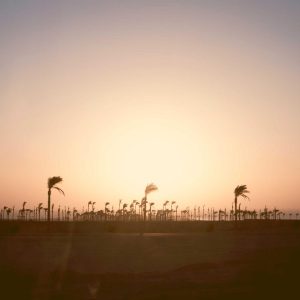 Velocore Desk Lamp Variant 9