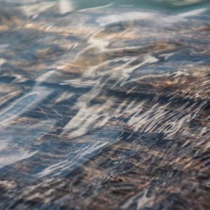 Velocore Desk Lamp Variant 88