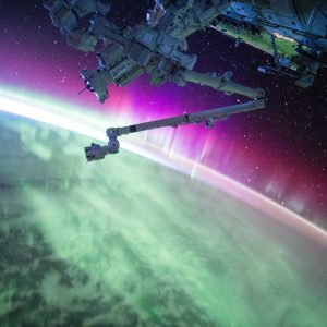 Weston Resistance Kit Variant 89