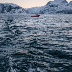 Aurelia Recovery Massage Gun Variant 89