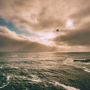 Northpeak Studio Headphones Variant 10