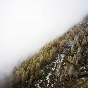 Northpeak Training Tracker Variant 100