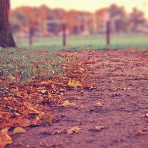 Northpeak Aero Laptop 14" Variant 101