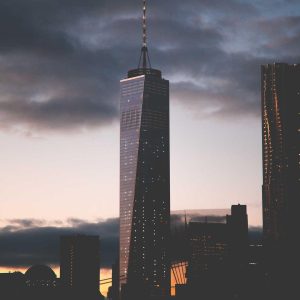 Weston Resistance Kit Variant 110