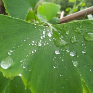 Velocore Desk Lamp Variant 111