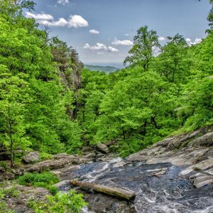 Weston Resistance Kit Variant 112