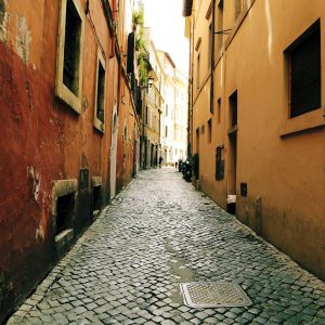 Northpeak Training Tracker Variant 114