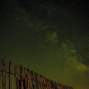 Velocore Adjustable Dumbbell Set Variant 117