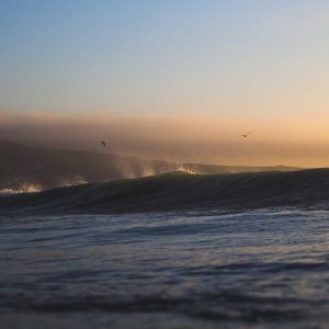 Northpeak Support Chair Variant 119