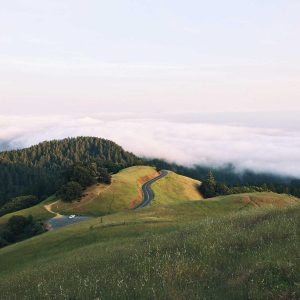 Aurelia Ergonomic Desk Pro Variant 123