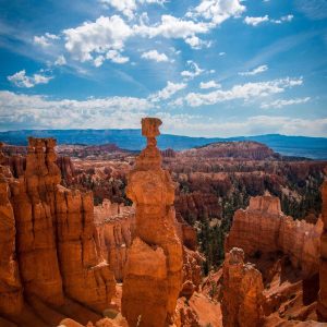 Northpeak Foam Roller Set Variant 124