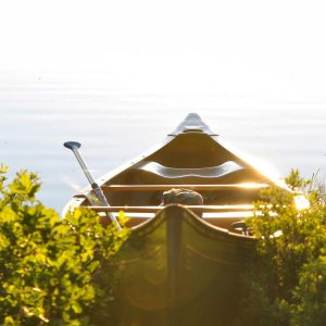 Velocore Desk Lamp Variant 131