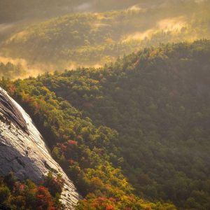 Velocore Desk Lamp Variant 135