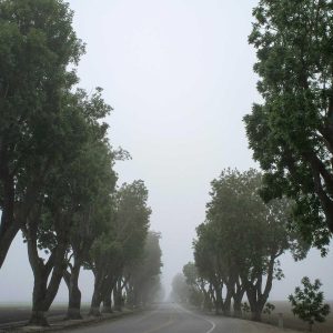 Weston Resistance Kit Variant 136