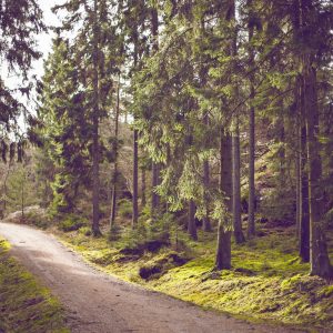 Aurelia Smart Fitness Watch Variant 140