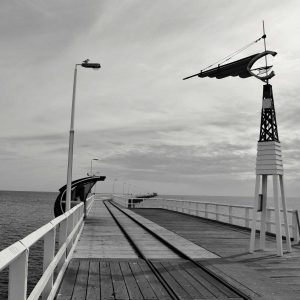 Velocore Wireless Earbuds Variant 147