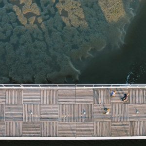 Northpeak Support Chair Variant 147