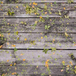 Velocore Adjustable Dumbbell Set Variant 148