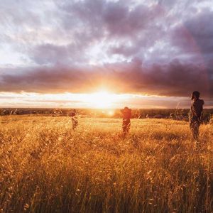 Weston Ambient Light Bar Variant 150