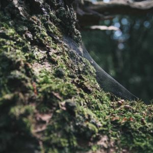 Velocore Pro Laptop 16" Variant 152