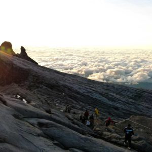 Weston Pulse Smartphone Variant 153