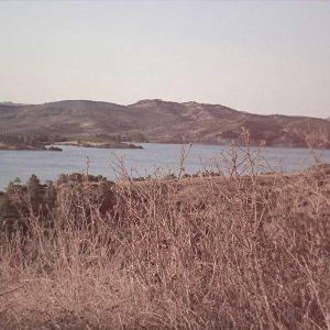 Weston Resistance Kit Variant 154