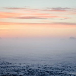 Aurelia Ergonomic Desk Pro Variant 163