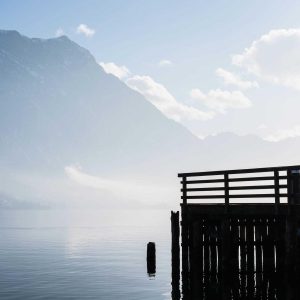 Weston Resistance Kit Variant 164