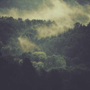 Northpeak Studio Headphones Variant 165