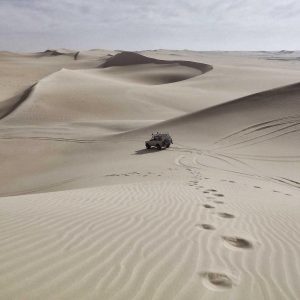 Aurelia One Smartphone Variant 169