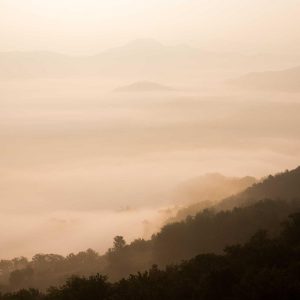 Aurelia Smart Fitness Watch Variant 18