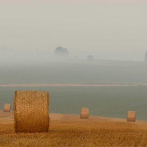 Aurelia Ergonomic Desk Pro Variant 182