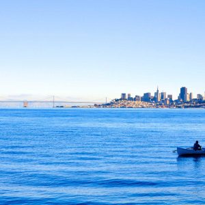 Weston Ambient Light Bar Variant 186