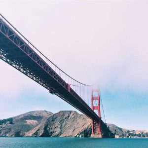 Velocore Adjustable Dumbbell Set Variant 187