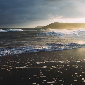 Aurelia Ergonomic Desk Pro Variant 196