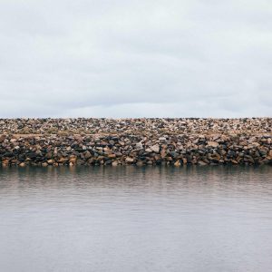 Aurelia Ergonomic Desk Pro Variant 201