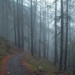 Velocore Pro Laptop 16" Variant 212