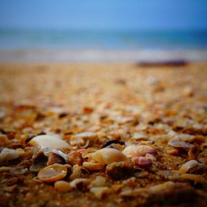 Aurelia Smart Fitness Watch Variant 212