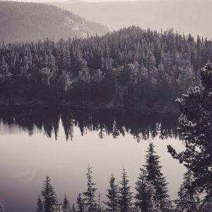 Velocore Pro Laptop 16" Variant 214