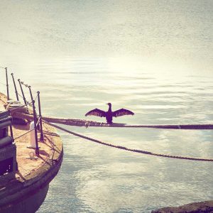 Velocore Wireless Earbuds Variant 214