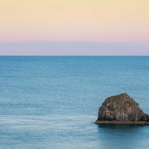 Aurelia Ergonomic Desk Pro Variant 214